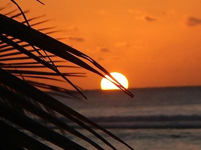 רארוטונגה Reefcomber Sunset Beach מראה חיצוני תמונה